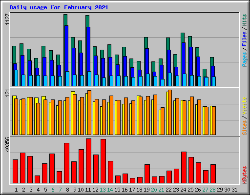 Daily usage for February 2021