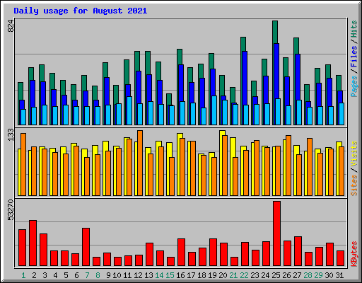 Daily usage for August 2021