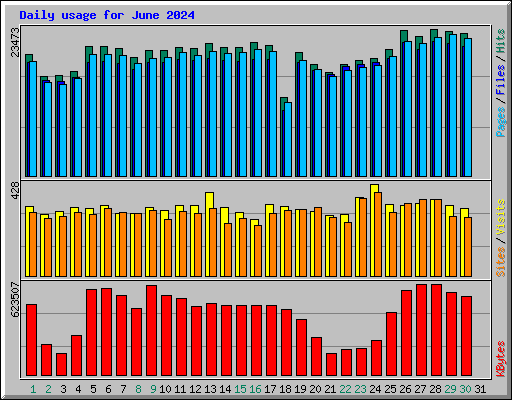 Daily usage for June 2024