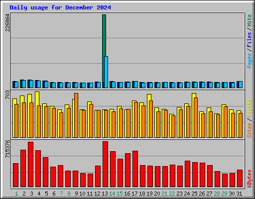 Daily usage for December 2024