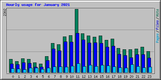 Hourly usage for January 2021