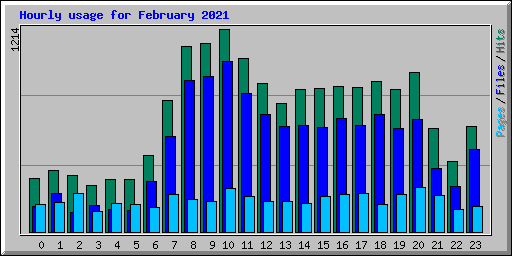 Hourly usage for February 2021