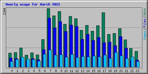 Hourly usage for March 2021