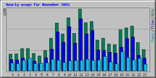 Hourly usage for November 2021