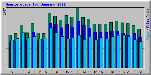 Hourly usage for January 2022