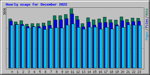 Hourly usage for December 2022