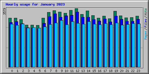 Hourly usage for January 2023