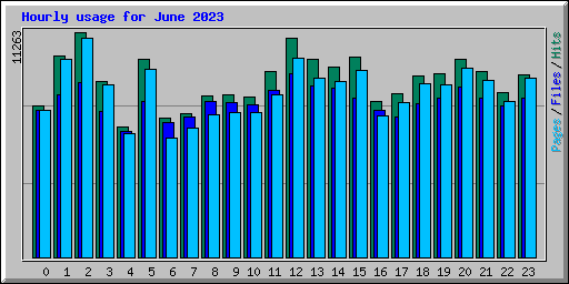 Hourly usage for June 2023