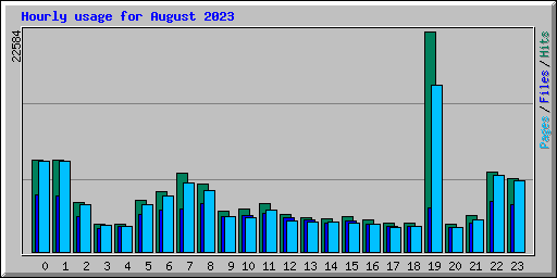 Hourly usage for August 2023