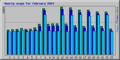 Hourly usage for February 2024