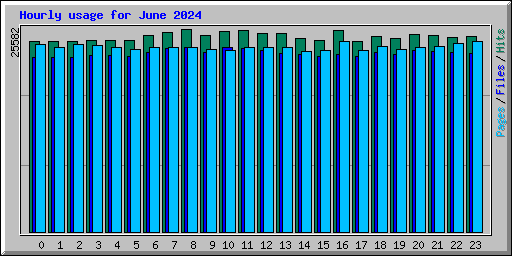 Hourly usage for June 2024