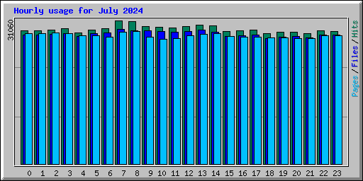 Hourly usage for July 2024