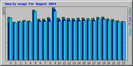 Hourly usage for August 2024