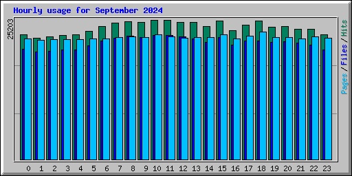 Hourly usage for September 2024