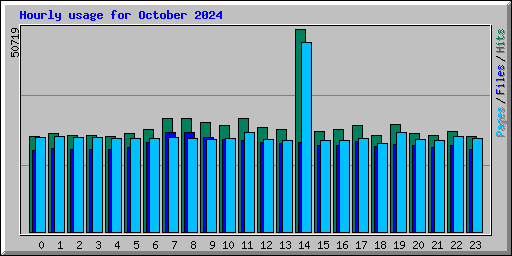 Hourly usage for October 2024