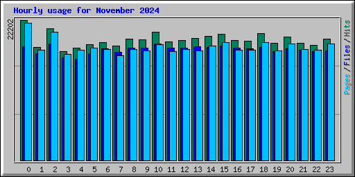 Hourly usage for November 2024