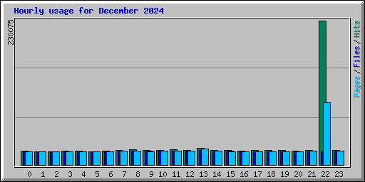 Hourly usage for December 2024