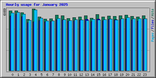 Hourly usage for January 2025