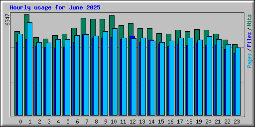 Hourly usage for June 2025