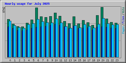 Hourly usage for July 2025